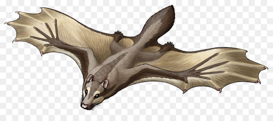 Argentoconodon，İchthyoconodon PNG