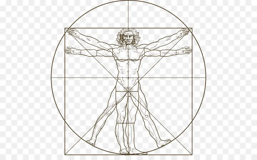 Vitruvius Adamı，Leonardo Da Vinci PNG