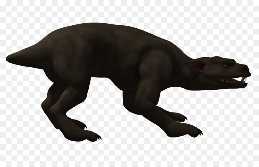 Tyrannosaurus，Muhbir PNG