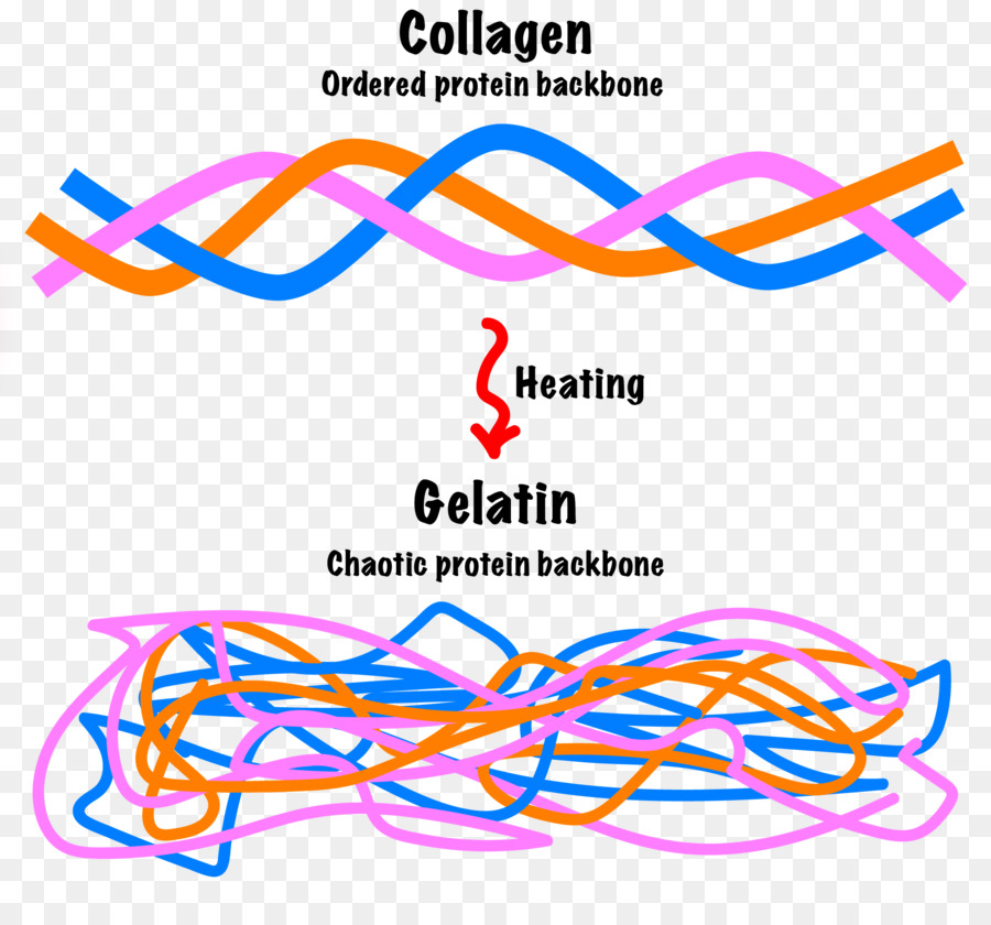 Kolajen，Jelatin PNG