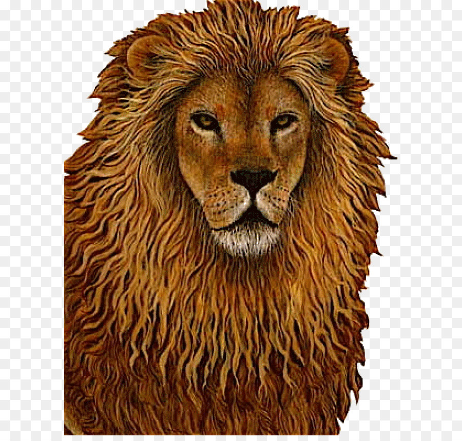 Aslan，Yele PNG