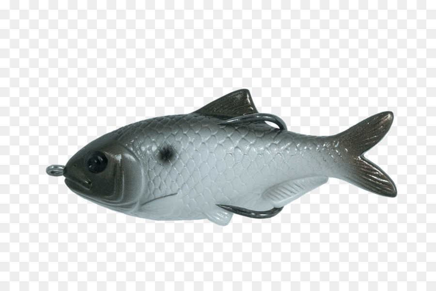 Swimbait，Balıkçılık Yemler Sahte Yemler PNG