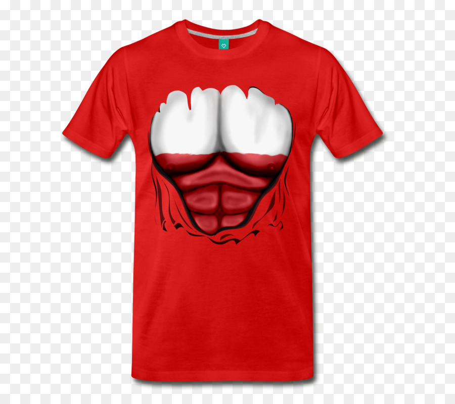 Tshirt，Gömlek PNG