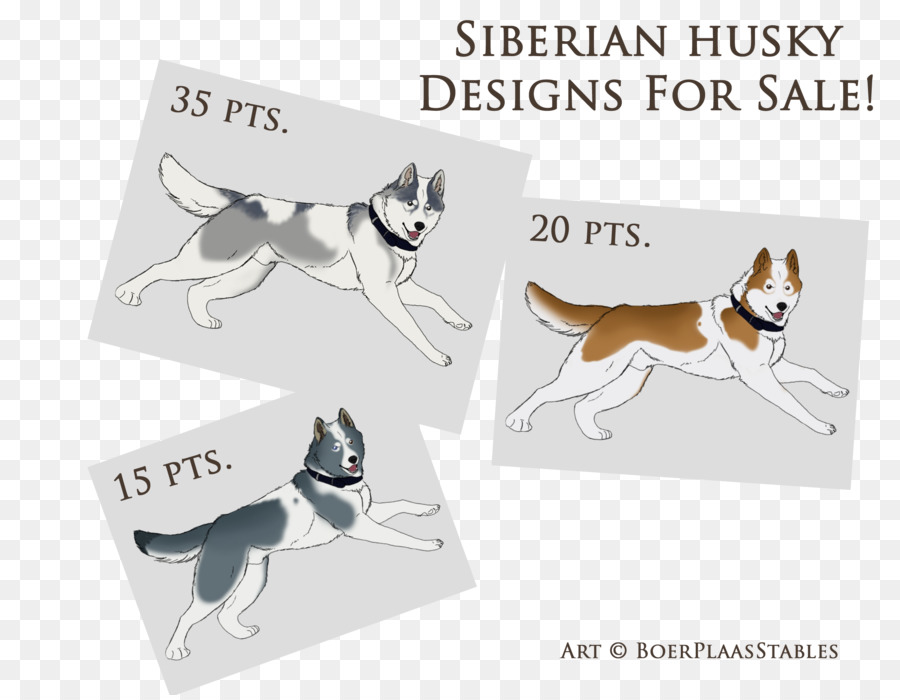 Köpek ırkı，Sibirya Husky PNG