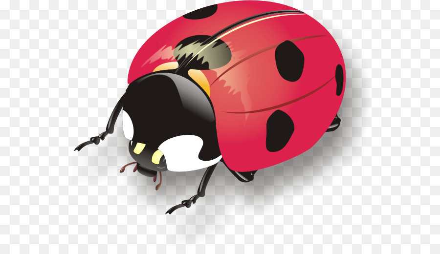 Ladybird Böceği，Bisiklet Kaskları PNG
