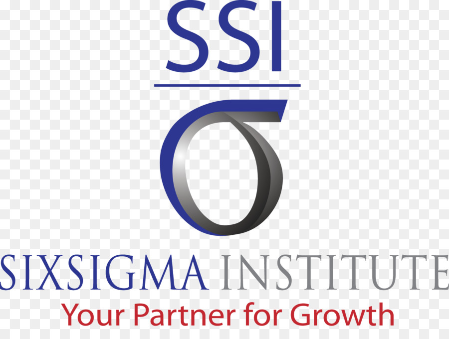 Altı Sigma，Organizasyon PNG