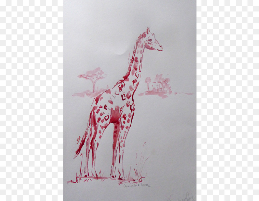 Zürafa，Çizim PNG