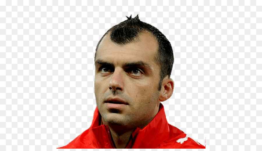 Goran Pandev，15 Fifa PNG