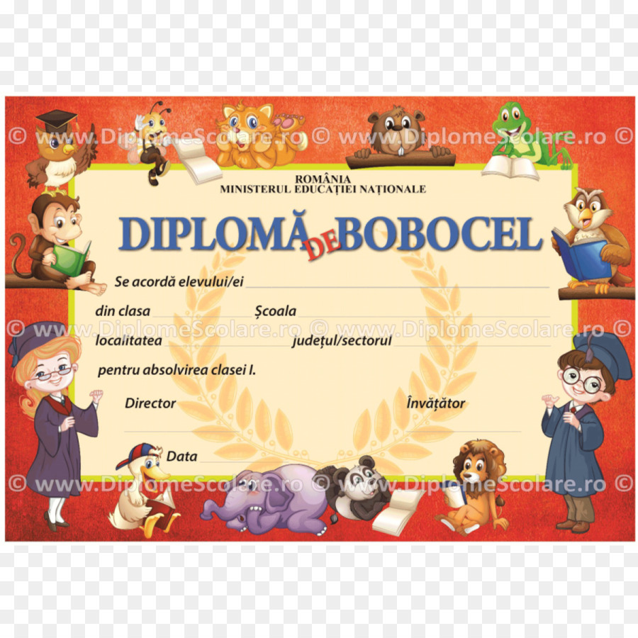 Diploma，Ödül PNG