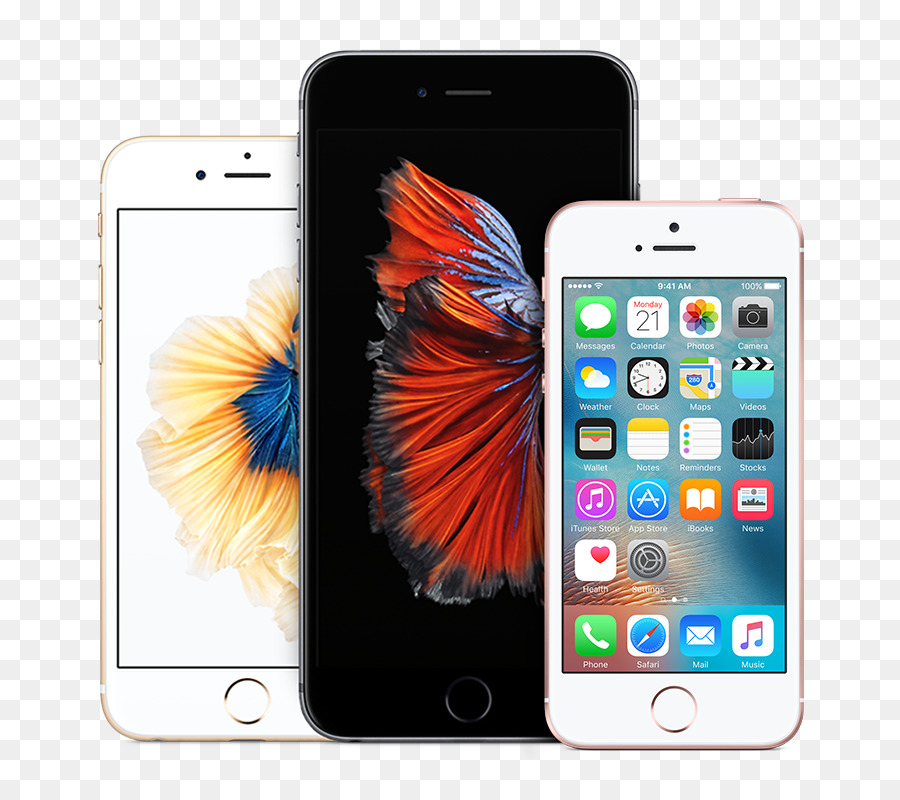 6 Iphone，Iphone Se PNG