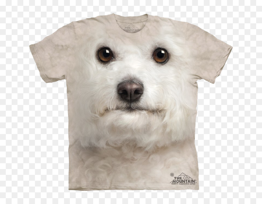 Bichon Frise，Kaniş PNG