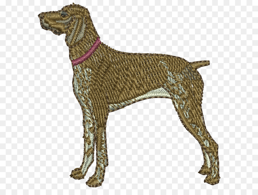 Köpek ırkı，Spor Grubu PNG