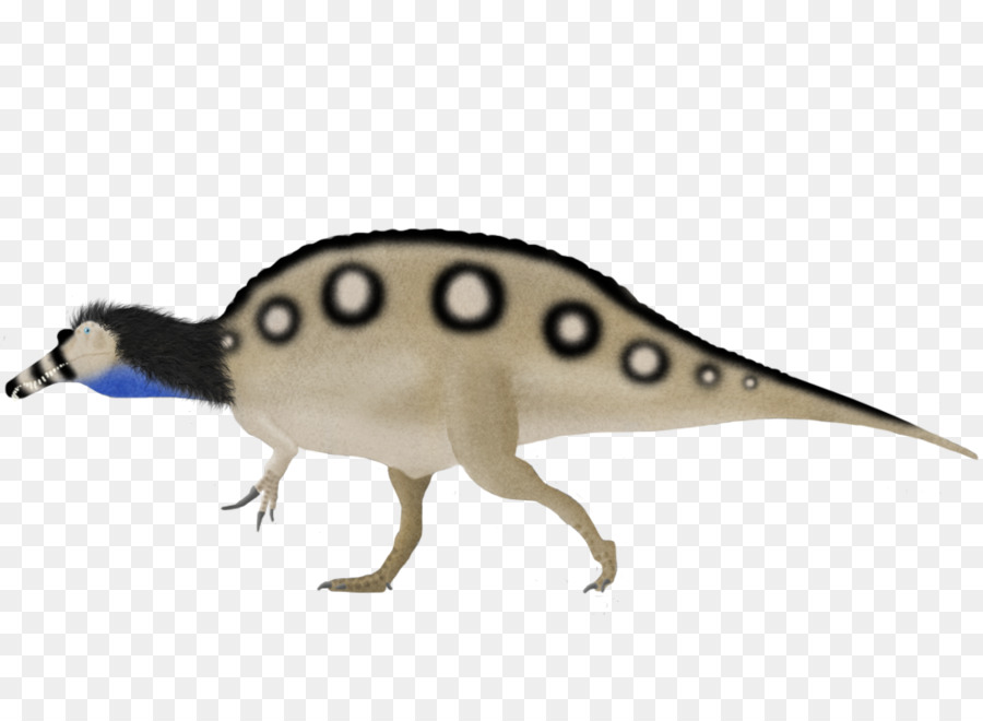 Spinosaurus，Karnotorus PNG