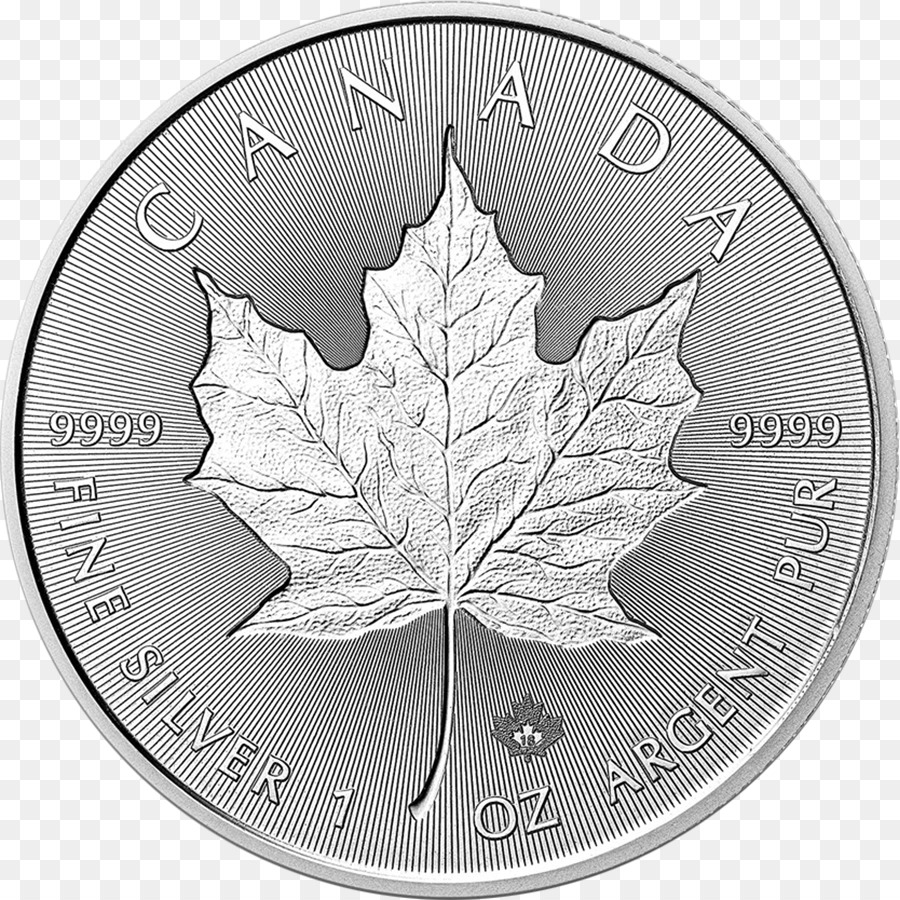 Kanada Gümüş Maple Leaf，Akçaağaç Yaprağı PNG