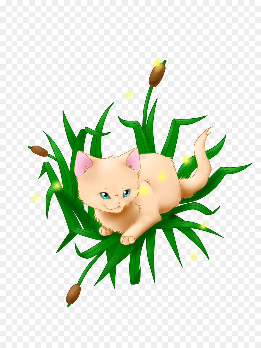 Bıyıkları，Kedi PNG