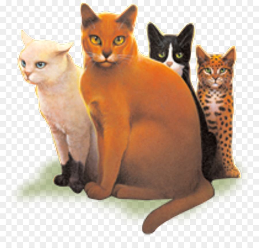 Klanın Kodu，Klanlar Kediler PNG