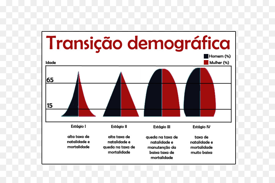 Nüfus Piramidi，Demografik Geçiş PNG