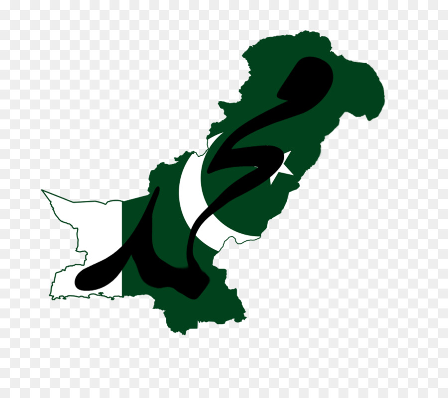 Pakistan，Amerika Birleşik Devletleri PNG