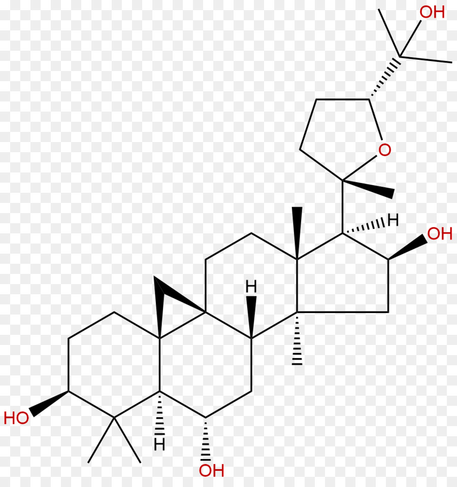 Çizim，Prednizolon çalışmalar PNG