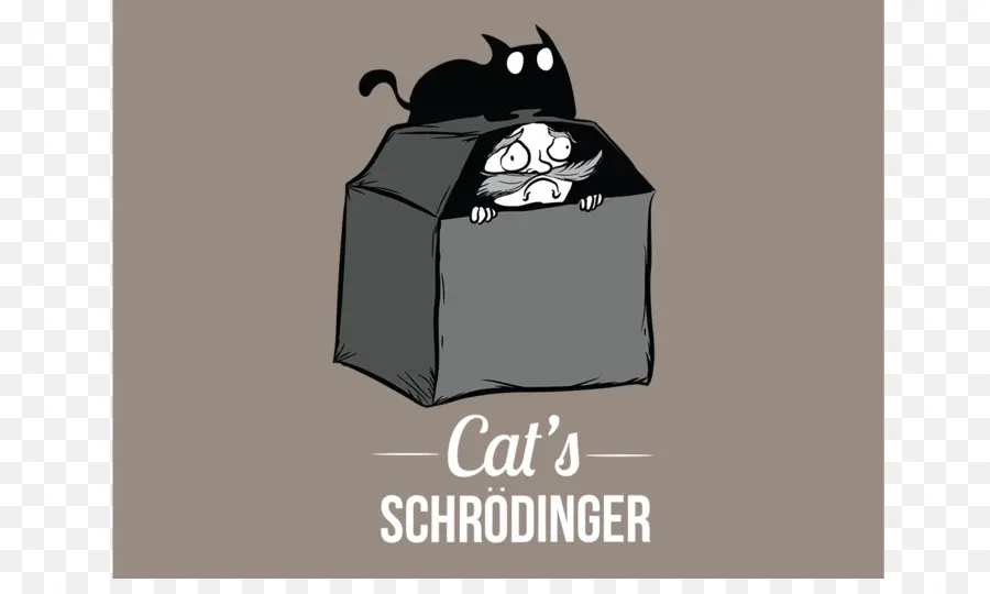 Schrödinger'in Kedisi，Kedi PNG