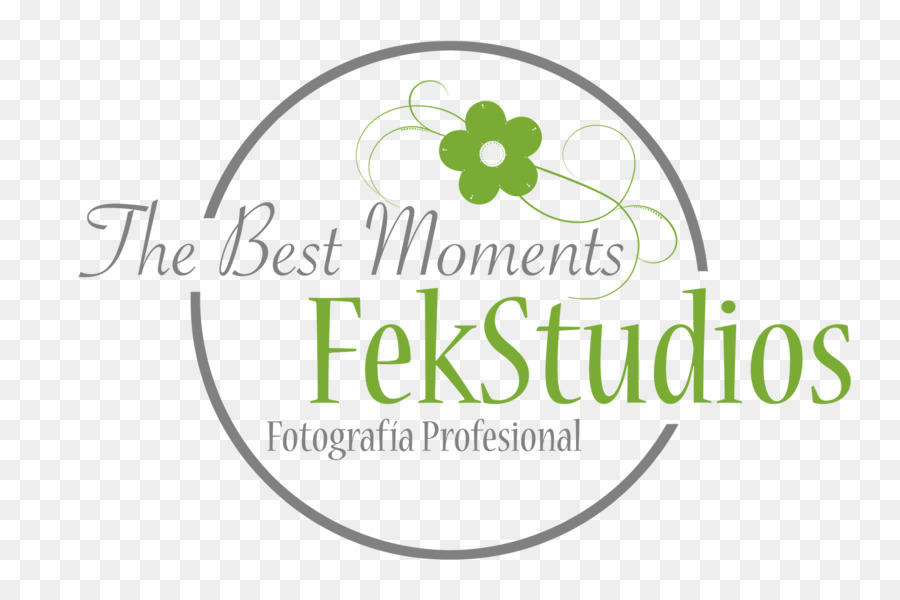 Fekstudios，Doğum Günü PNG