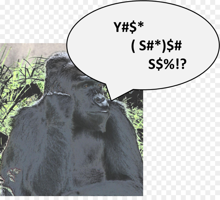 Goril，Yaban Hayatı PNG