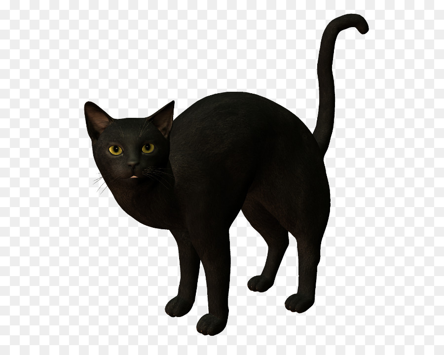 Kara Kedi，Esneme PNG