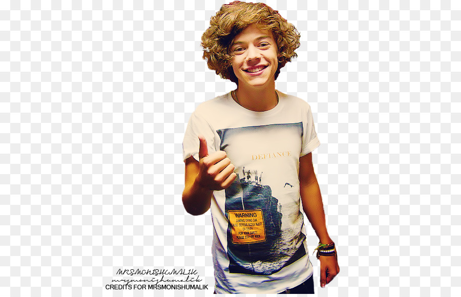 Tshirt，Harry Stilleri PNG