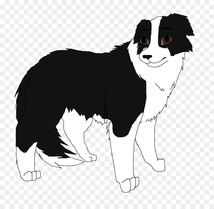 Sınır Collie，Köpek ırkı PNG