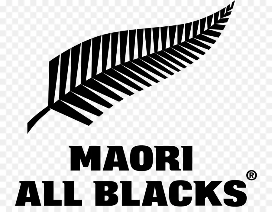 Maori Tüm Siyahlar Logosu，Rugby PNG