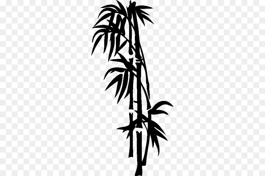 Arecaceae，Dal PNG