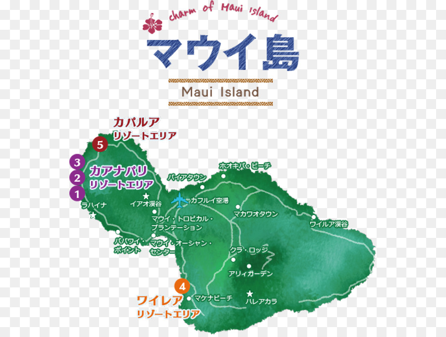 Ağaç，Harita PNG