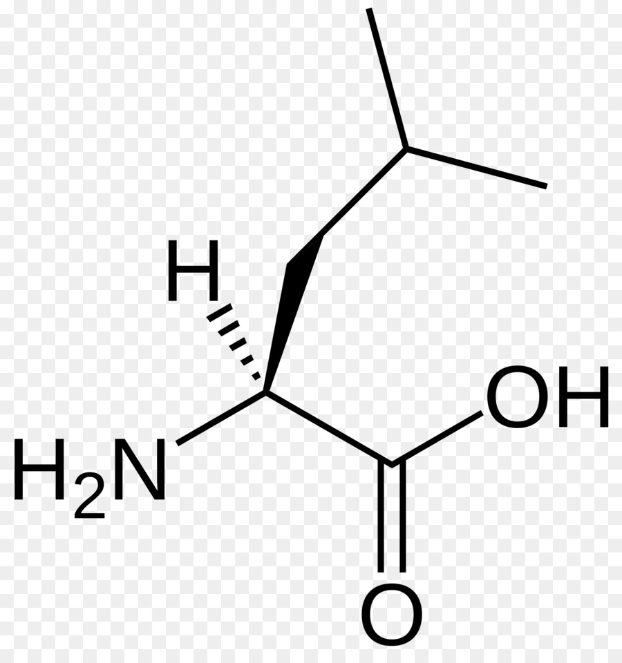 Branchedchain Amino Asit，Esansiyel Amino Asit PNG