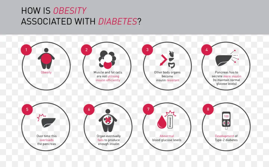 Obezite Ve Diyabet Infografik，Obezite PNG