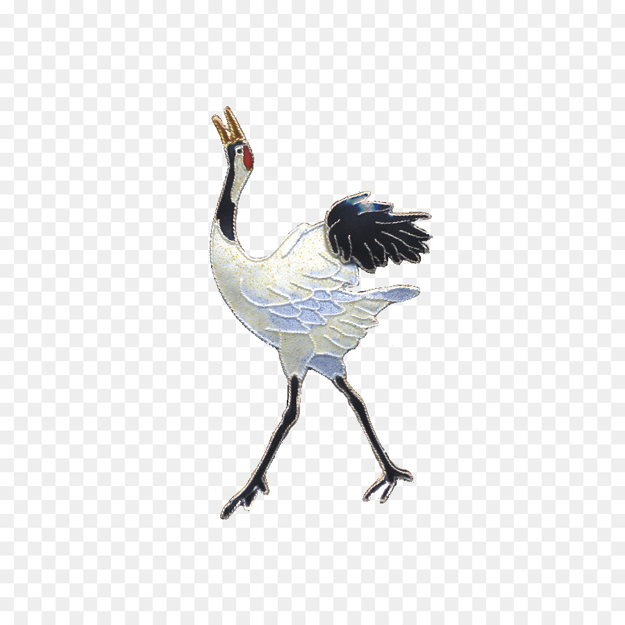Kuş，Tavuksular PNG