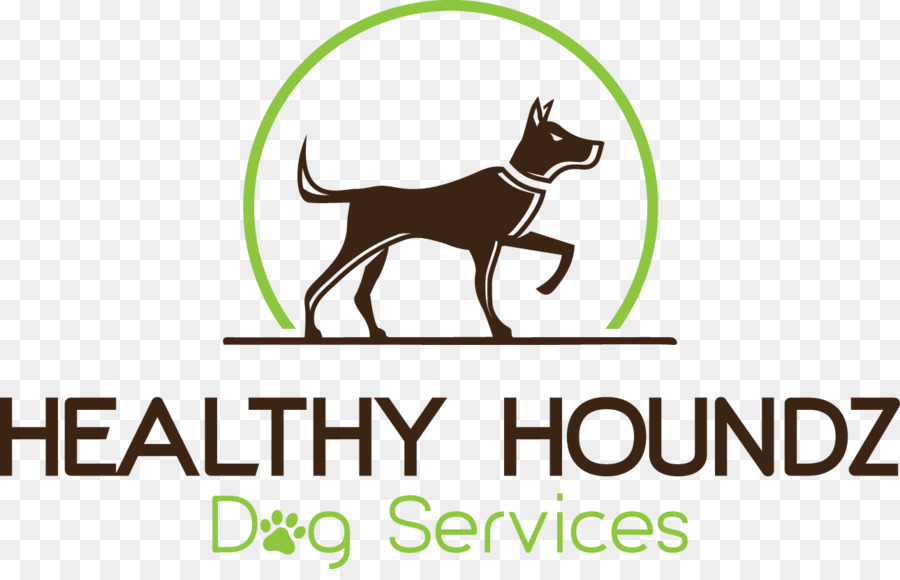 Köpek，Sağlıklı Houndz Köpek Hizmetleri PNG