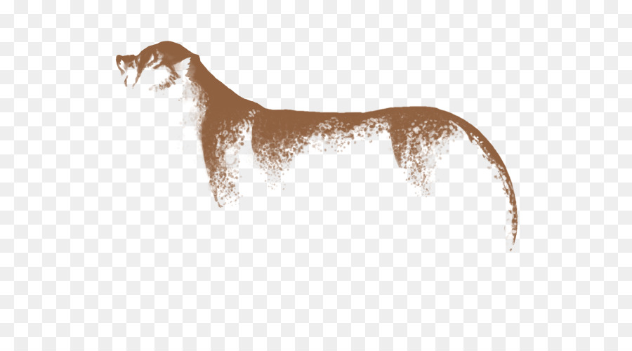 Köpek ırkı，İtalyan Greyhound PNG