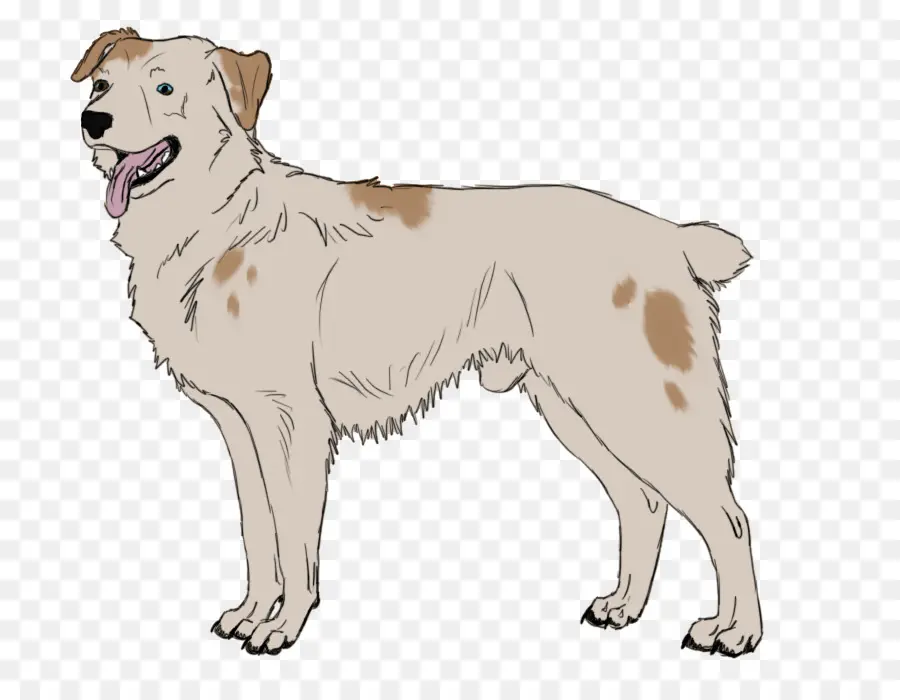 Karikatür Köpek，Köpek PNG