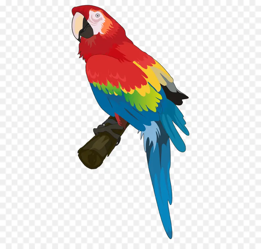 Dalğalı Papağanlar，Otel PNG