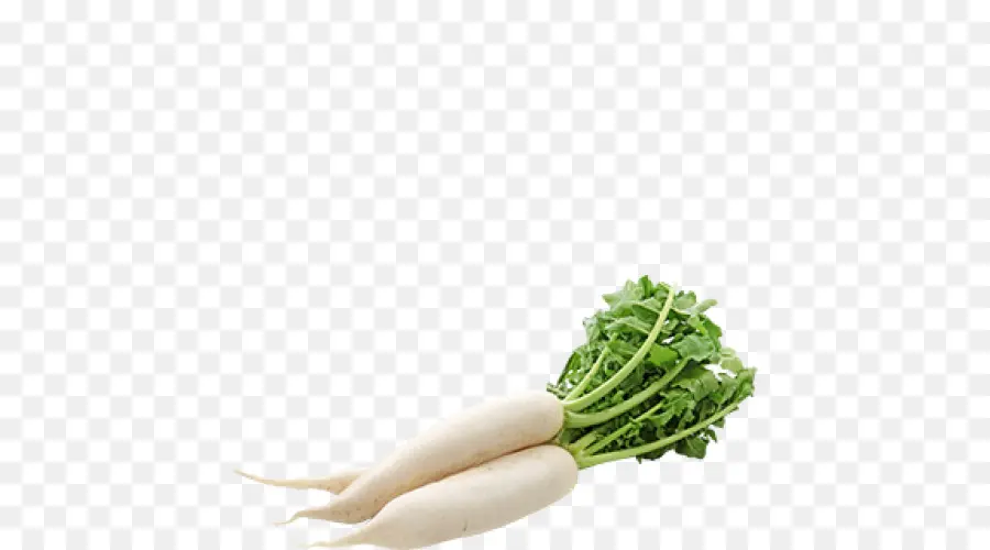 Daikon Turp，Turp PNG