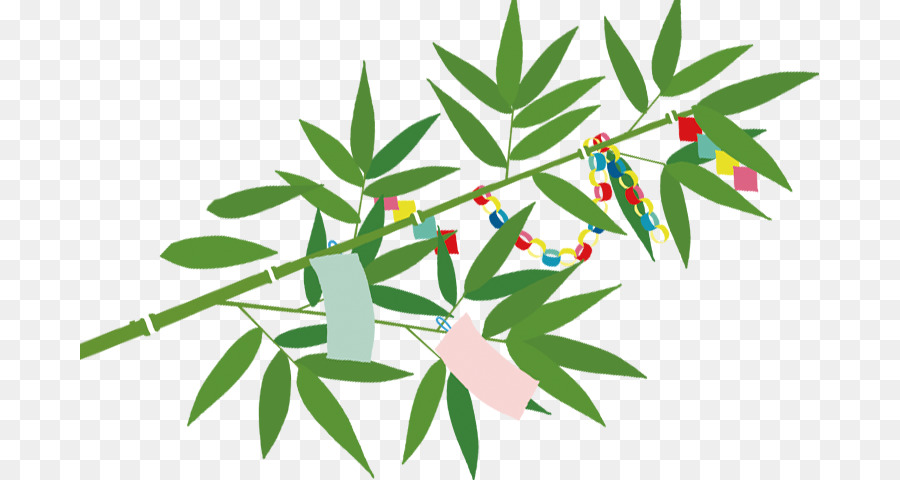 Tanabata，İsrail PNG