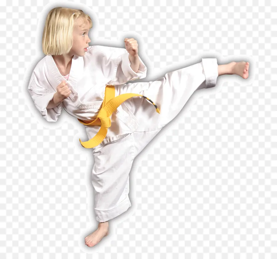 Karate Kızı，Dövüş Sanatları PNG