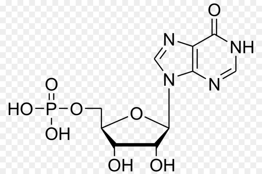 Inosinic Asit，Adenozin Monofosfat PNG