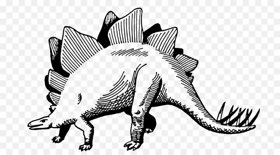 Stegosaurus，Tarih öncesi PNG