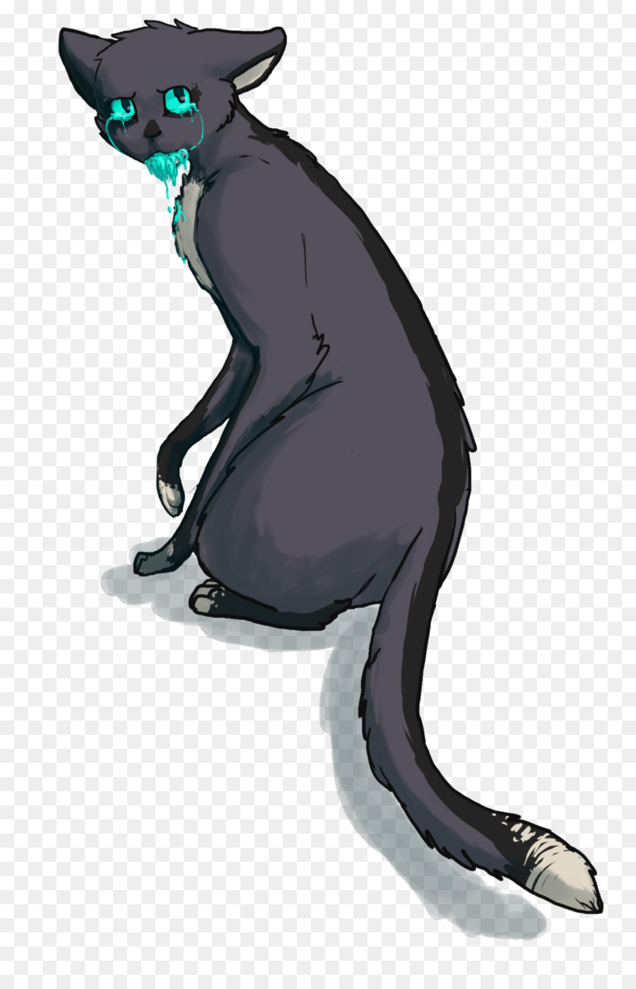 Bıyıkları，Kedi PNG