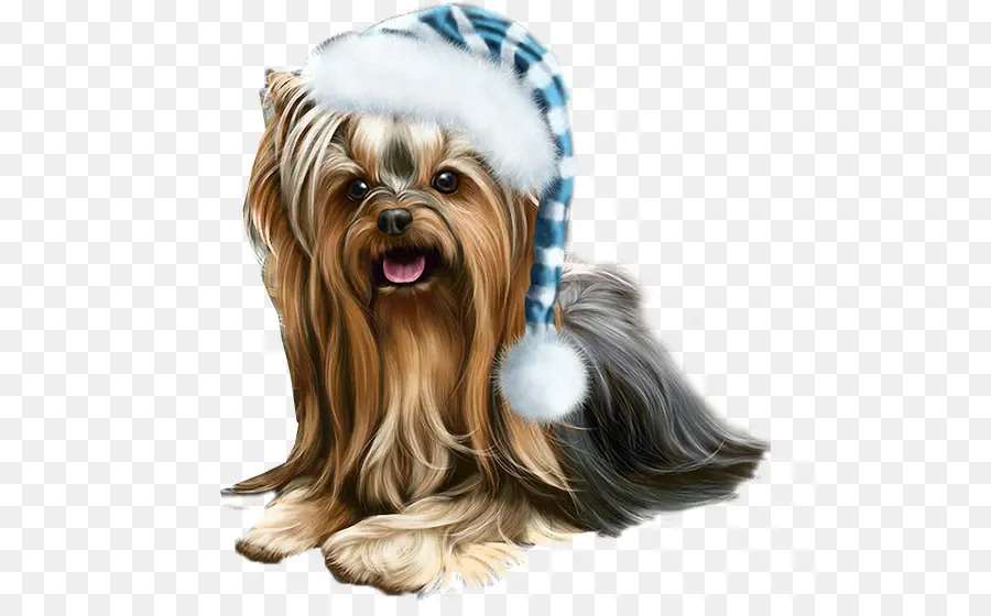 Yorkshire Terrier，Köpek Yavrusu PNG