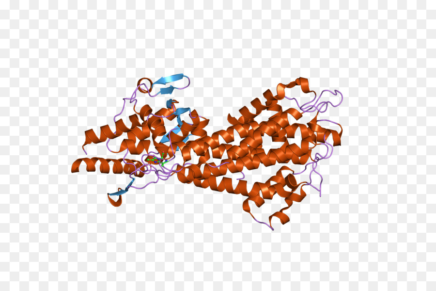 Protein Yapısı，Molekül PNG