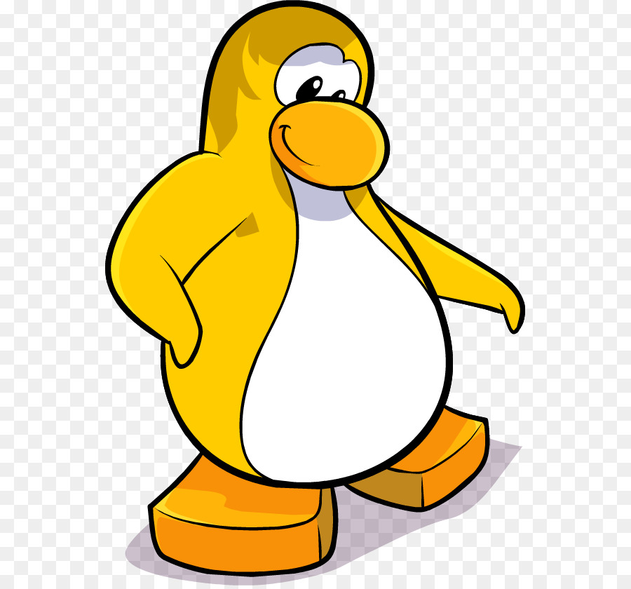 Penguen，Kuş PNG