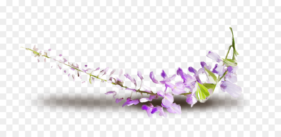 çiçek，Yaprağı PNG