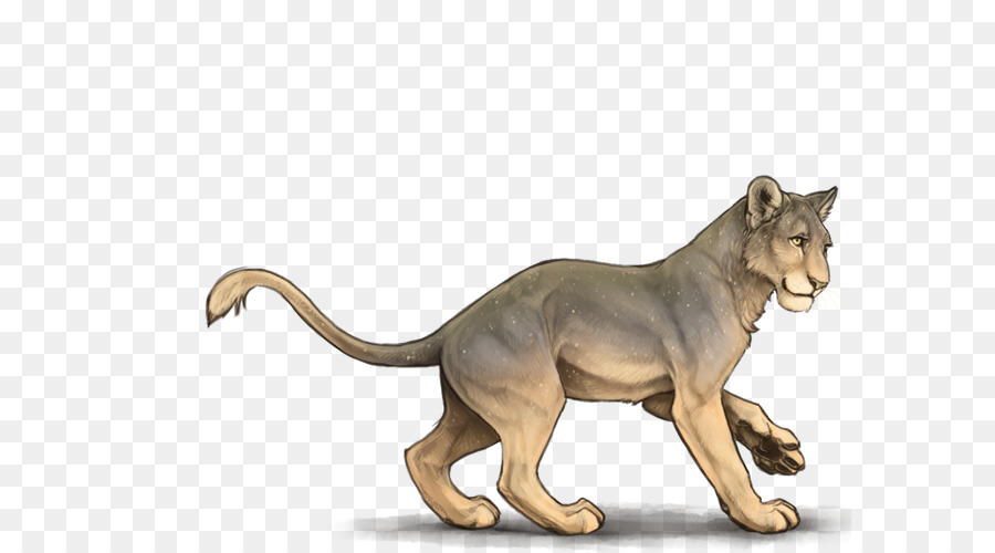 Aslan，Büyük Kedi PNG